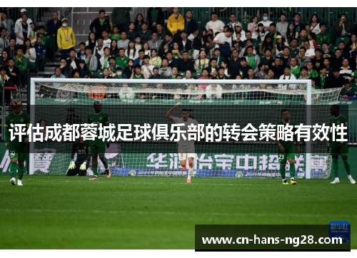 评估成都蓉城足球俱乐部的转会策略有效性 评估成都蓉城足球俱乐部的转会策略有效性