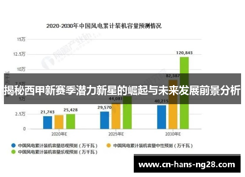 揭秘西甲新赛季潜力新星的崛起与未来发展前景分析